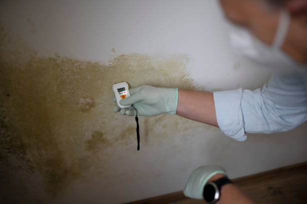 Best Mold Testing and Inspection Services in Preakness, NJ