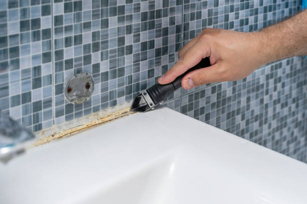 Best Basement Mold Remediation in Preakness, NJ