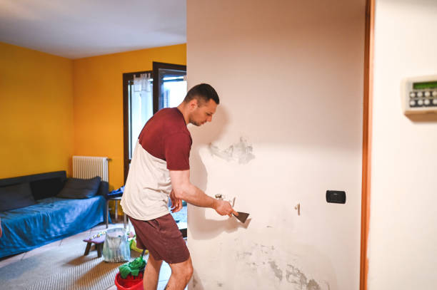 Best Emergency Mold Remediation in Preakness, NJ